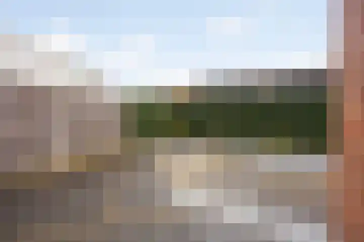 Hoefstraat 43 Horn thumbnail 21