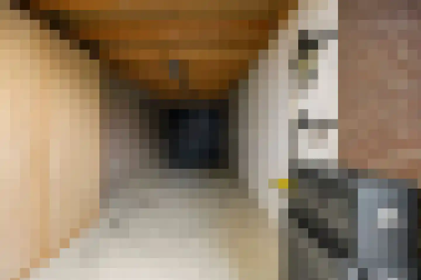 Hoefstraat 43 Horn thumbnail 25