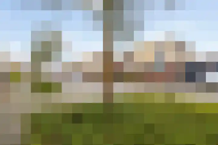 Hoefstraat 43 Horn thumbnail 28
