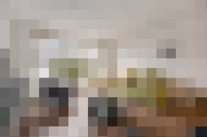 Hoefstraat 43 Horn thumbnail 4