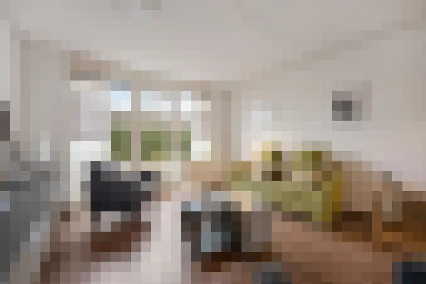 Hoefstraat 43 Horn thumbnail 4