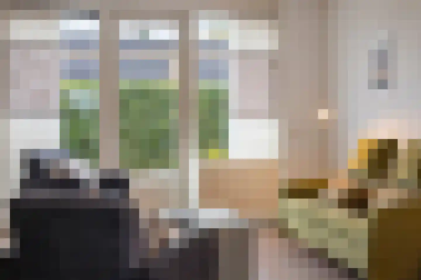 Hoefstraat 43 Horn thumbnail 5