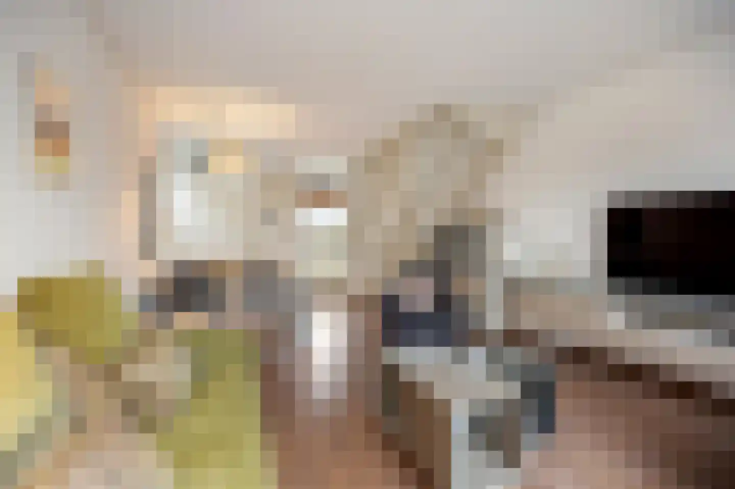 Hoefstraat 43 Horn thumbnail 6