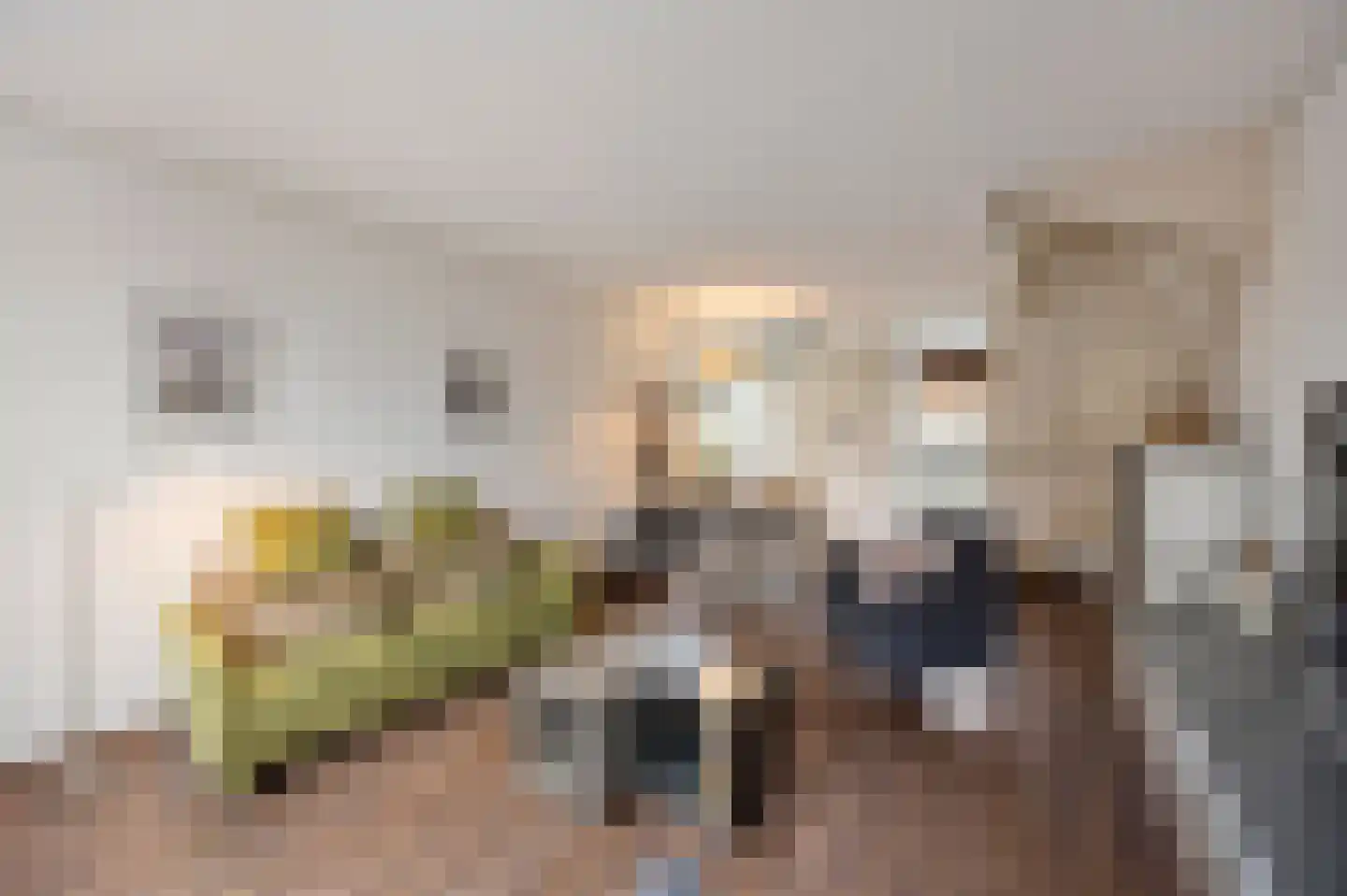 Hoefstraat 43 Horn thumbnail 7