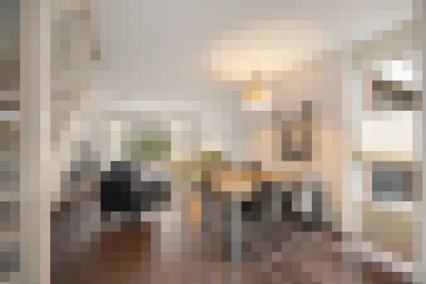 Hoefstraat 43 Horn thumbnail 9