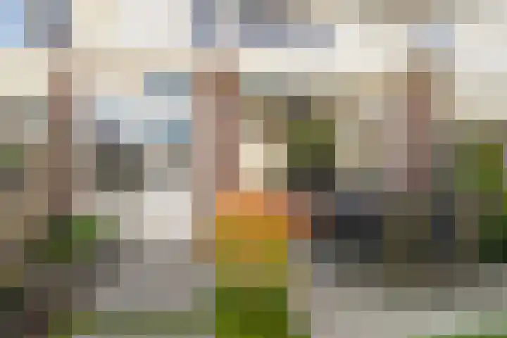 Hoefstraat 44 Genderen thumbnail 26