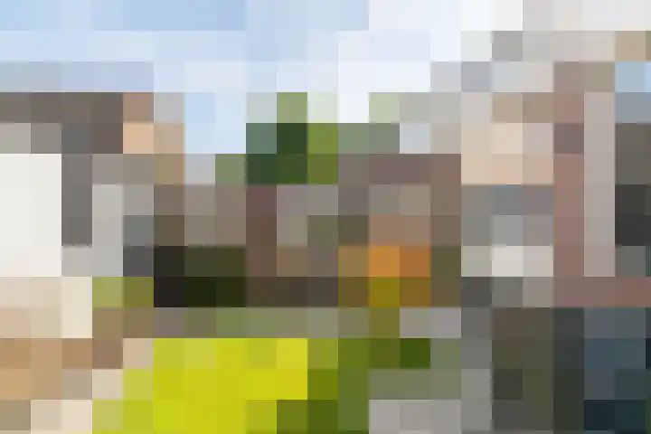 Hoefstraat 44 Genderen thumbnail 28