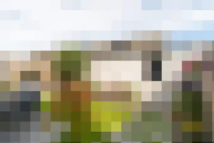 Hoefstraat 44 Genderen thumbnail 29