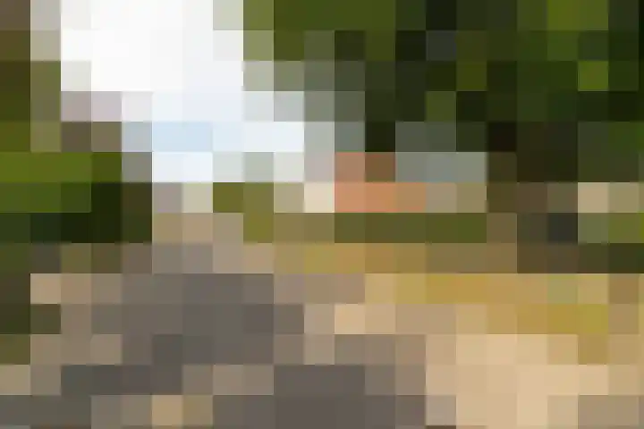 Hoefstraat 44 Genderen thumbnail 30