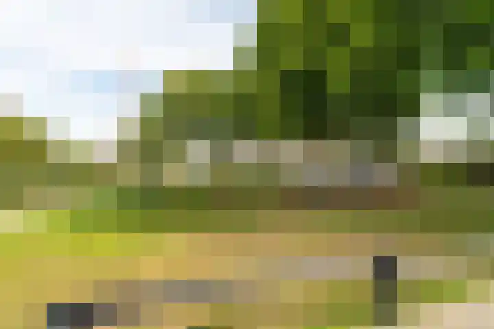 Hoefstraat 44 Genderen thumbnail 31