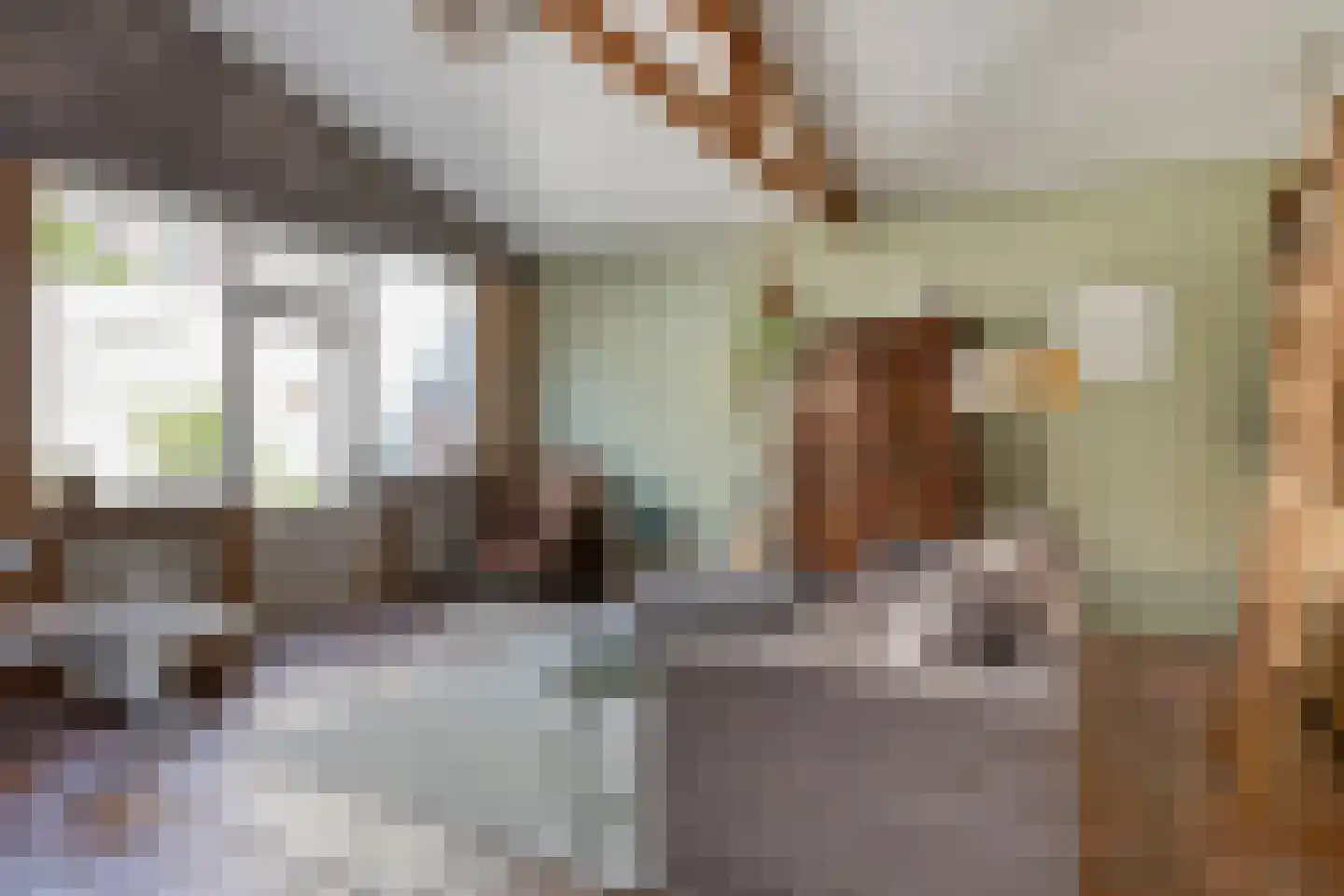 Hoefstraat 48 Leiden thumbnail 18