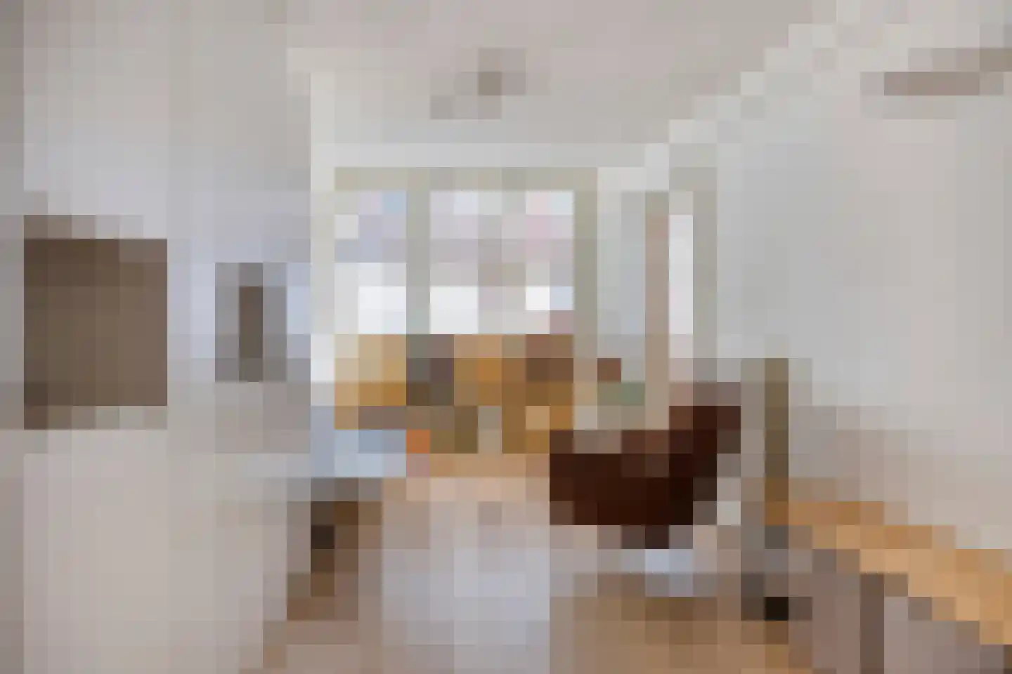 Hoefstraat 48 Leiden thumbnail 31