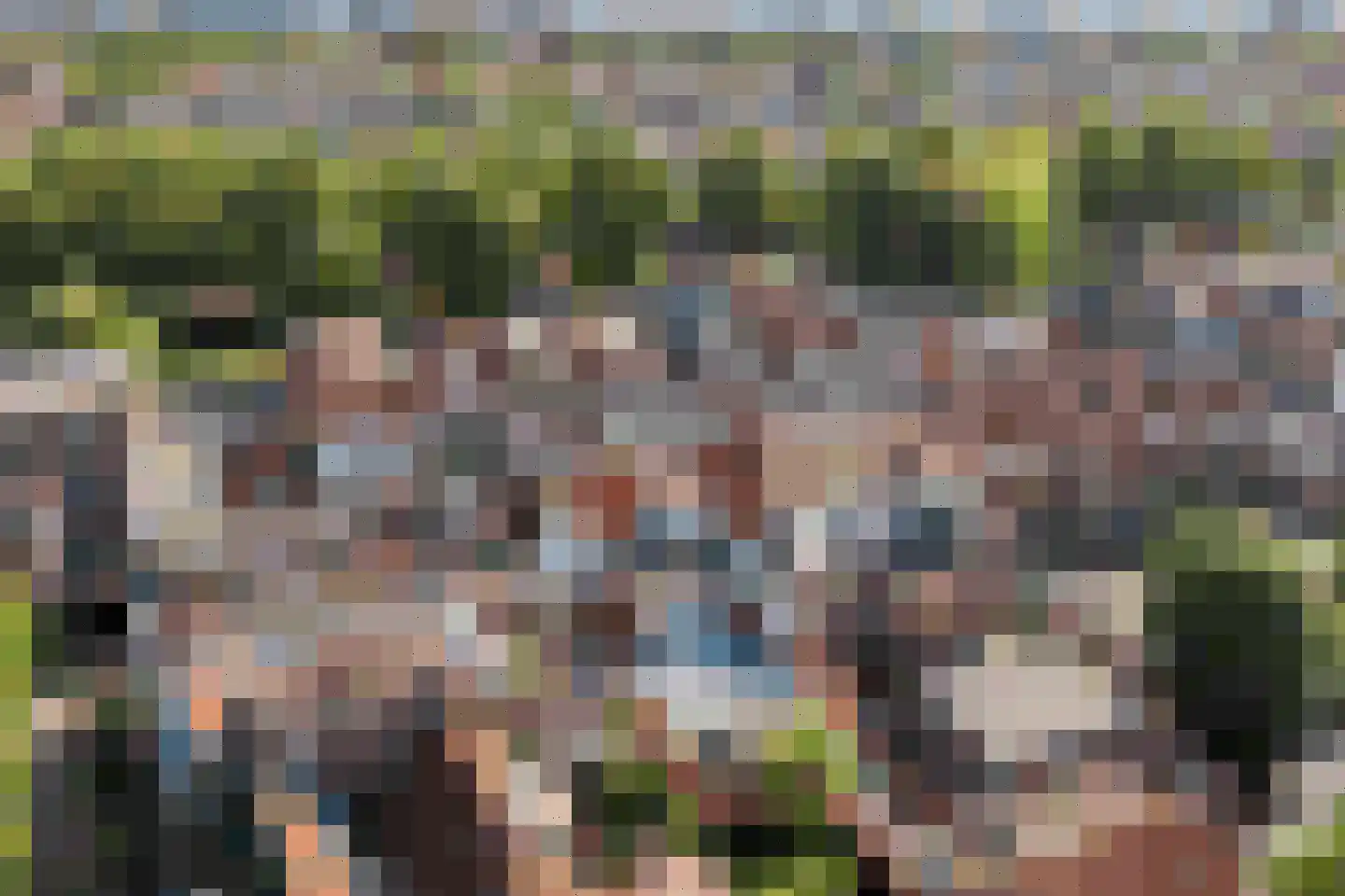 Hoefstraat 48 Leiden thumbnail 4