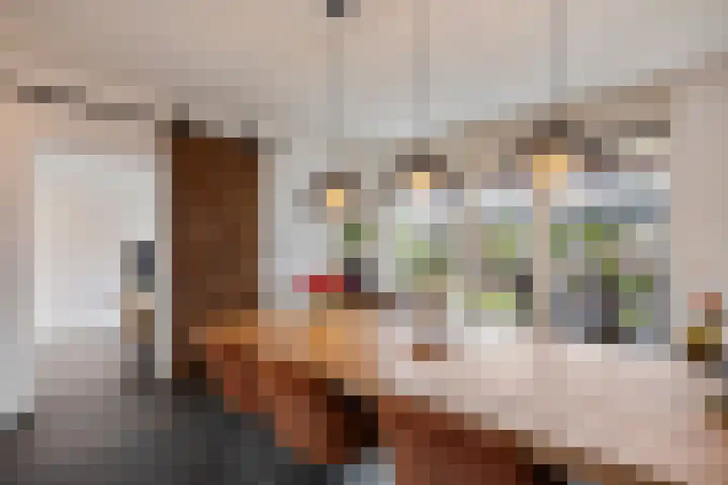 Hoefstraat 49 Horn thumbnail 13