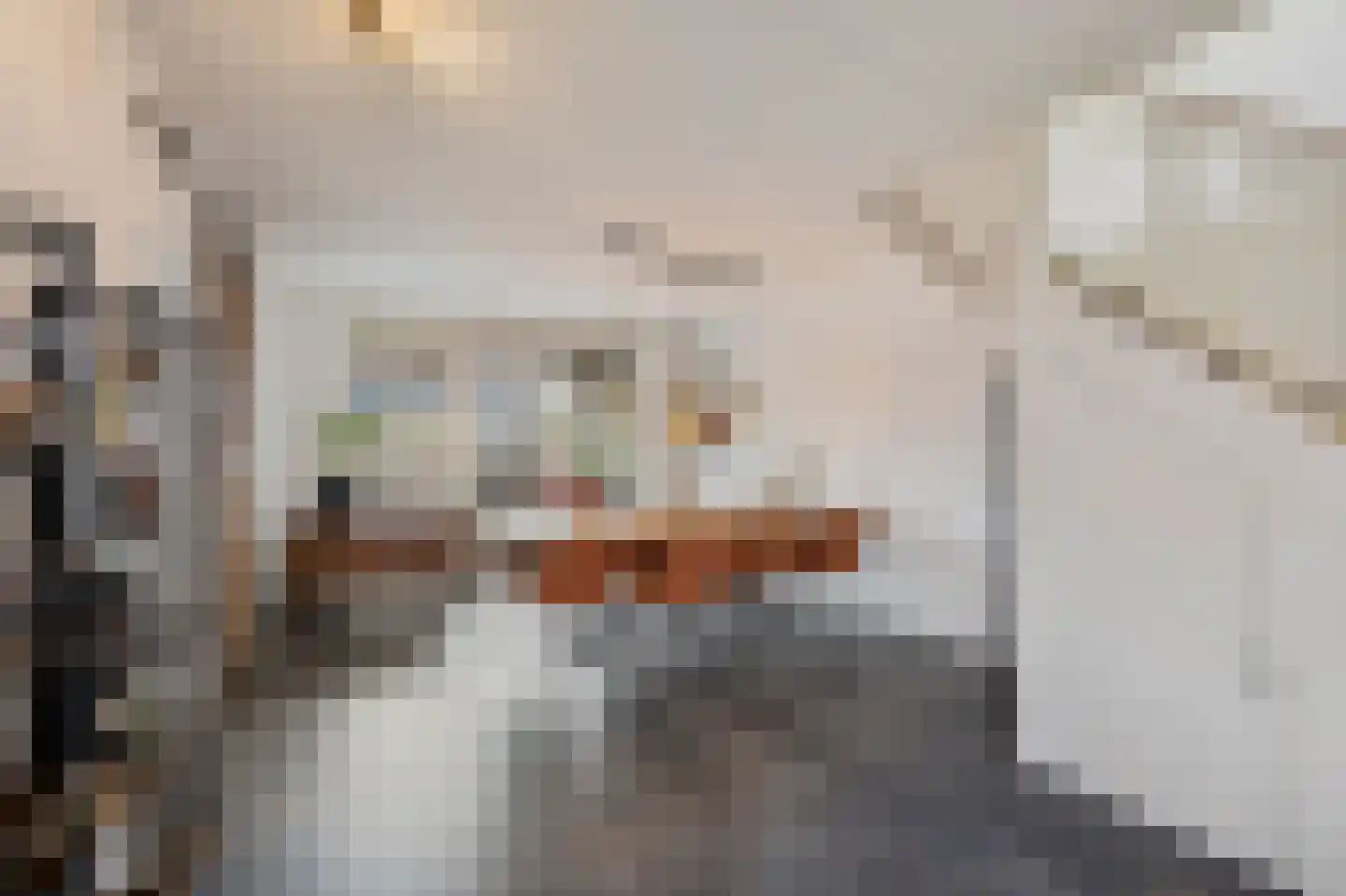 Hoefstraat 49 Horn thumbnail 15