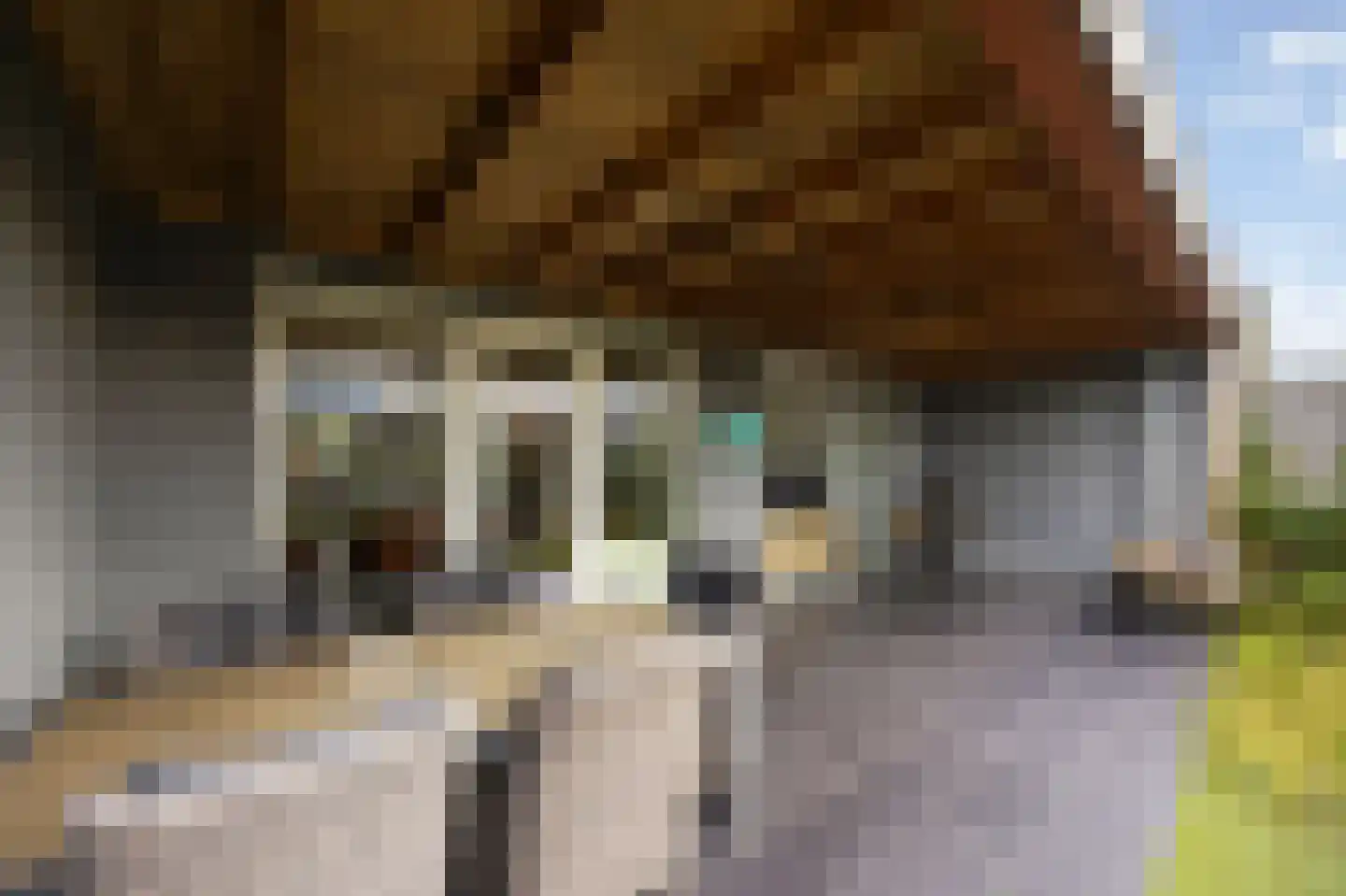Hoefstraat 49 Horn thumbnail 26