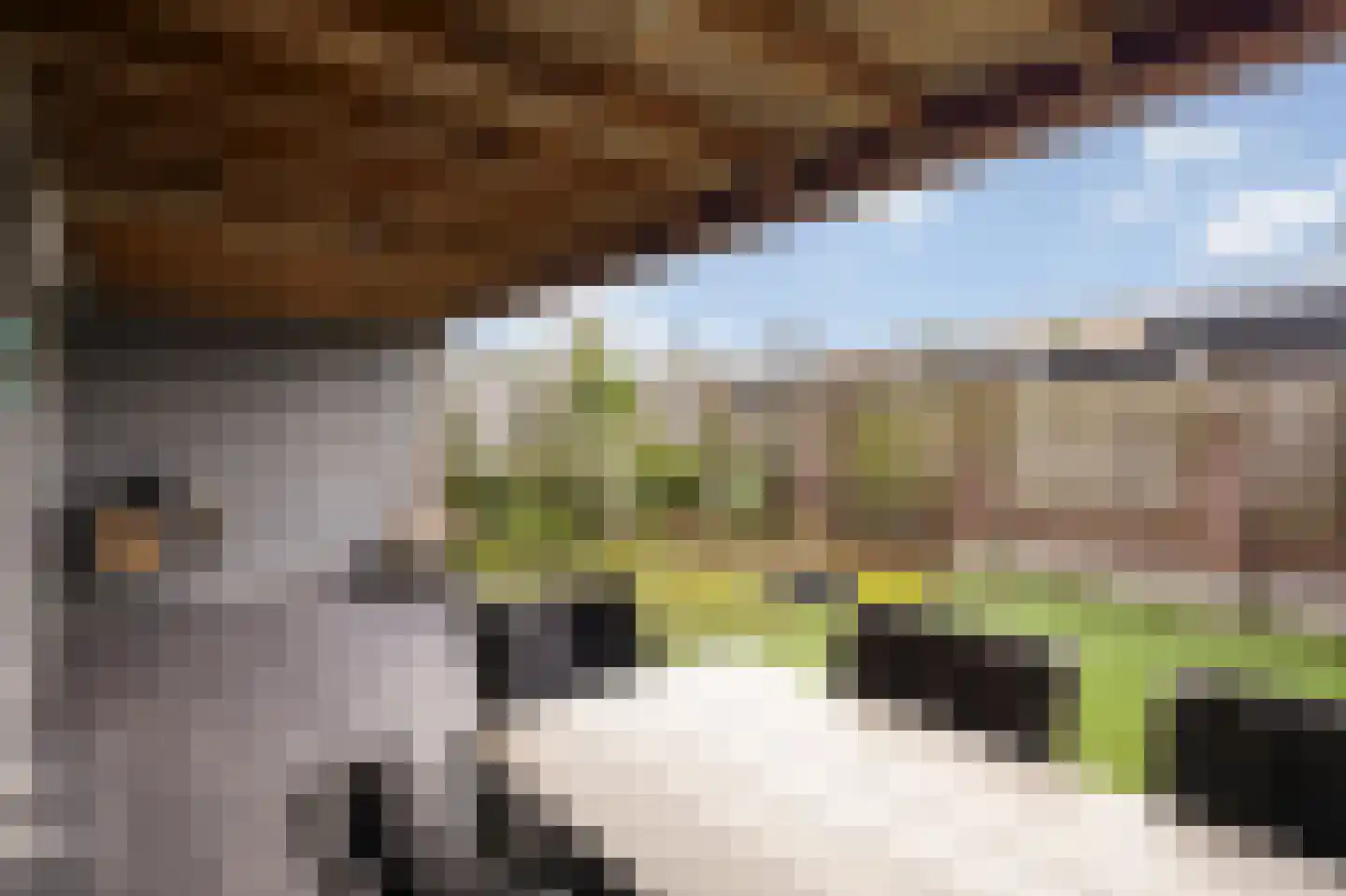 Hoefstraat 49 Horn thumbnail 27