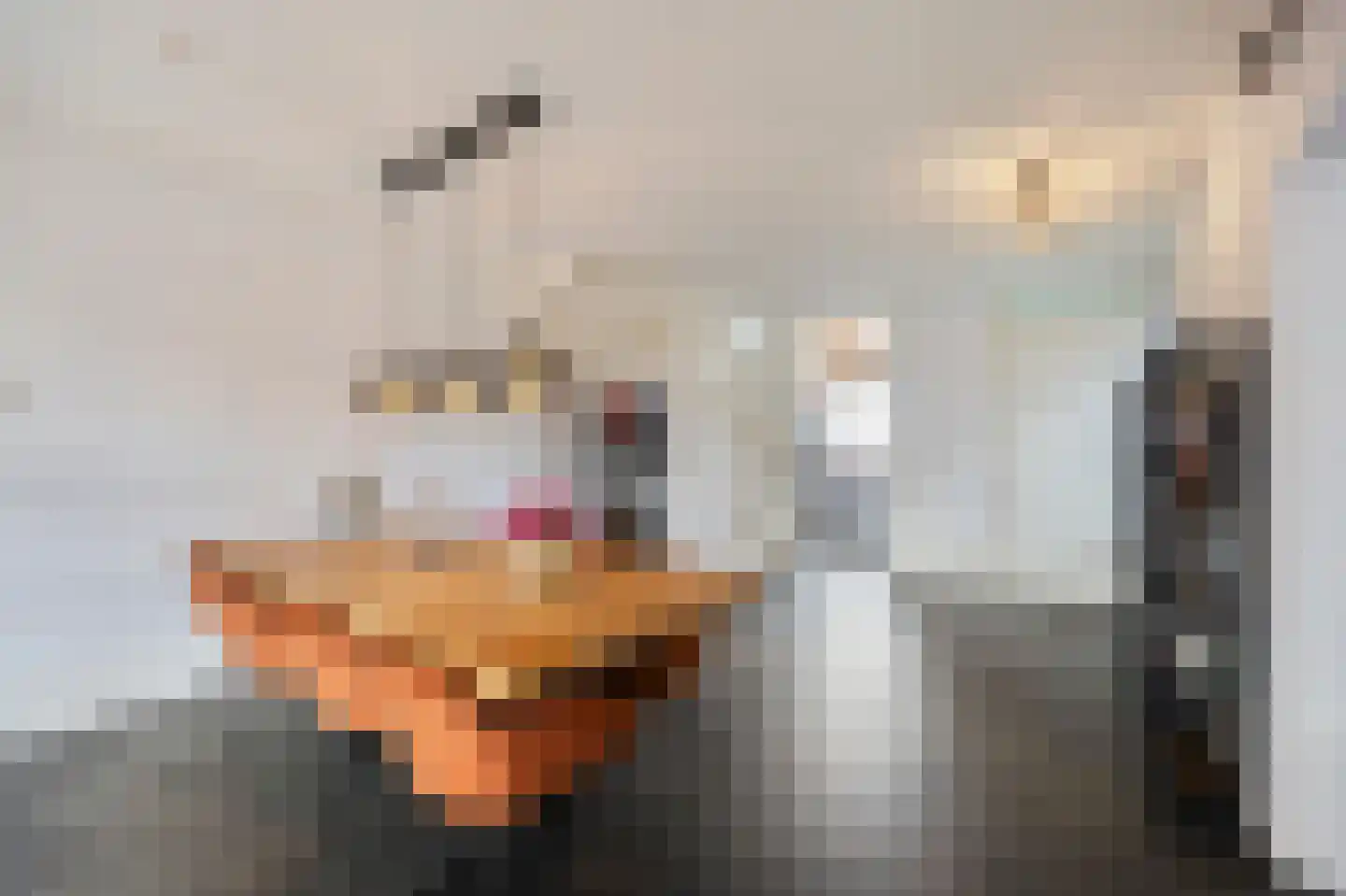 Hoefstraat 49 Horn thumbnail 9