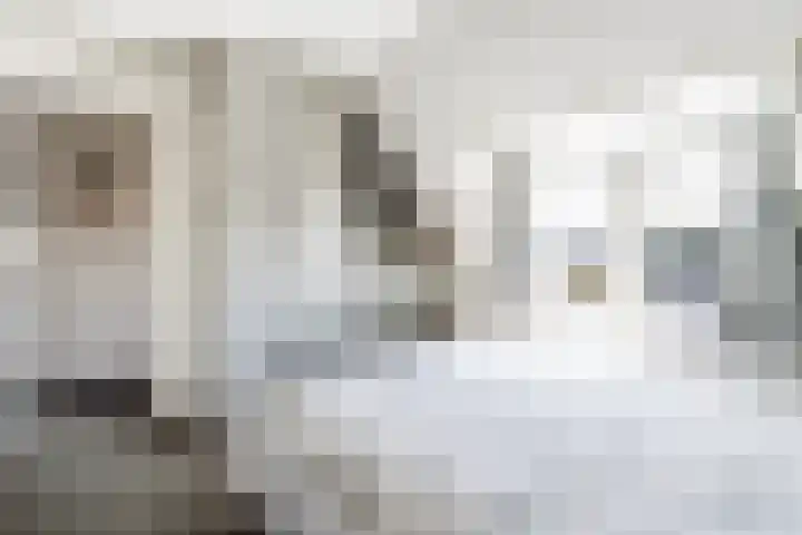 Hoefstraat 5 Nieuwaal thumbnail 28