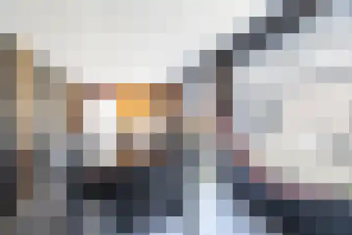 Hoefstraat 5 Nieuwaal thumbnail 39