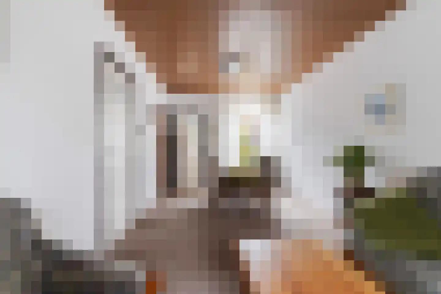 Hoefstraat 55 Tilburg thumbnail 25