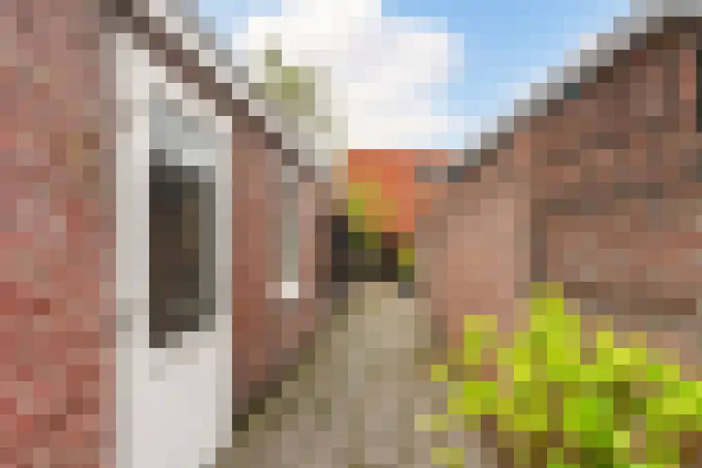 Hoefstraat 55 Tilburg thumbnail 4