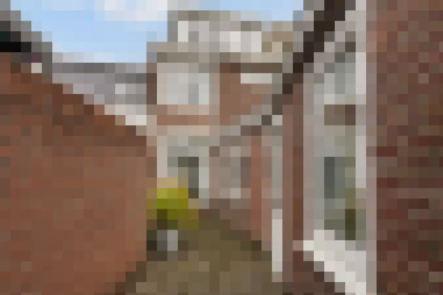 Hoefstraat 55 Tilburg thumbnail 5