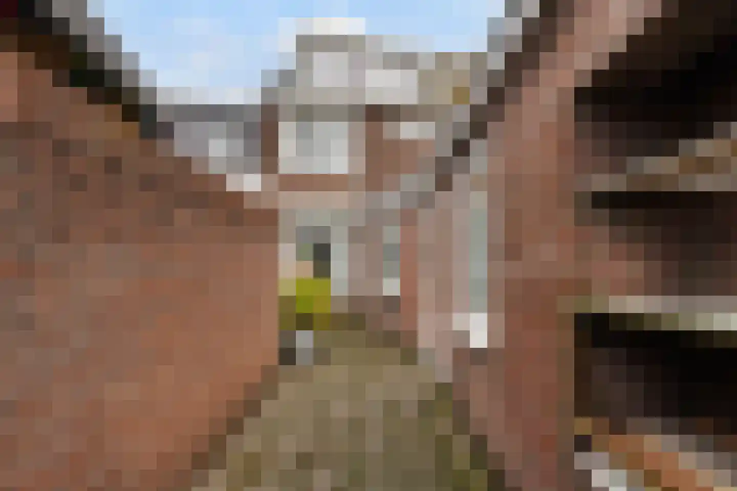 Hoefstraat 55 Tilburg thumbnail 6
