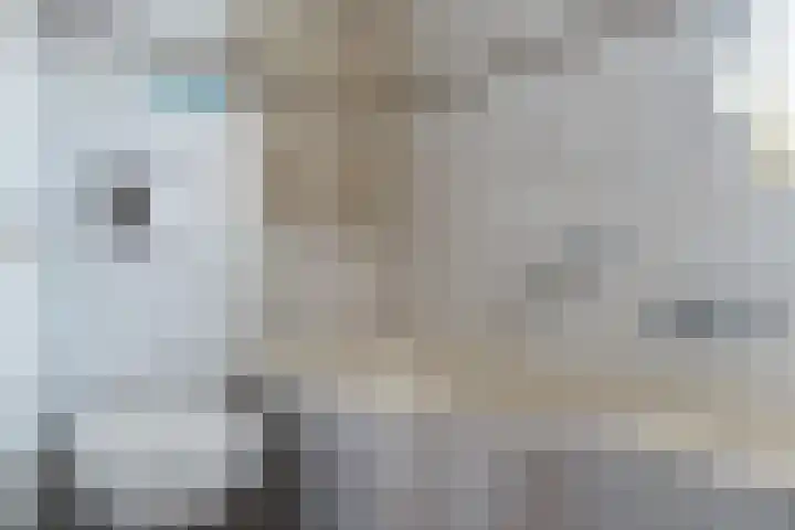 Hoefstraat 6 Genderen thumbnail 23