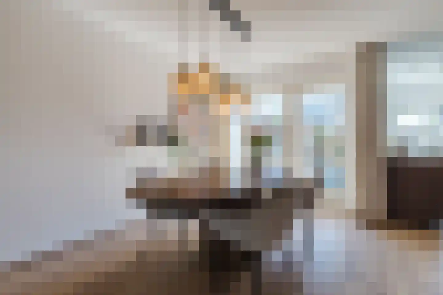 Hoefstraat 6 Horn thumbnail 17