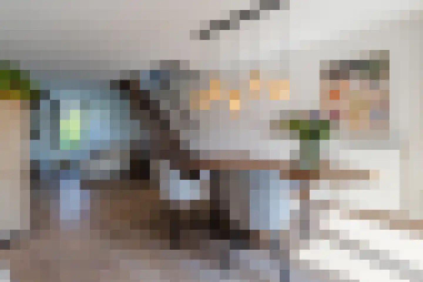 Hoefstraat 6 Horn thumbnail 19