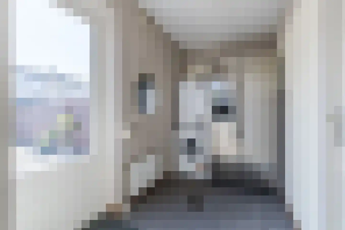 Hoefstraat 6 Horn thumbnail 29