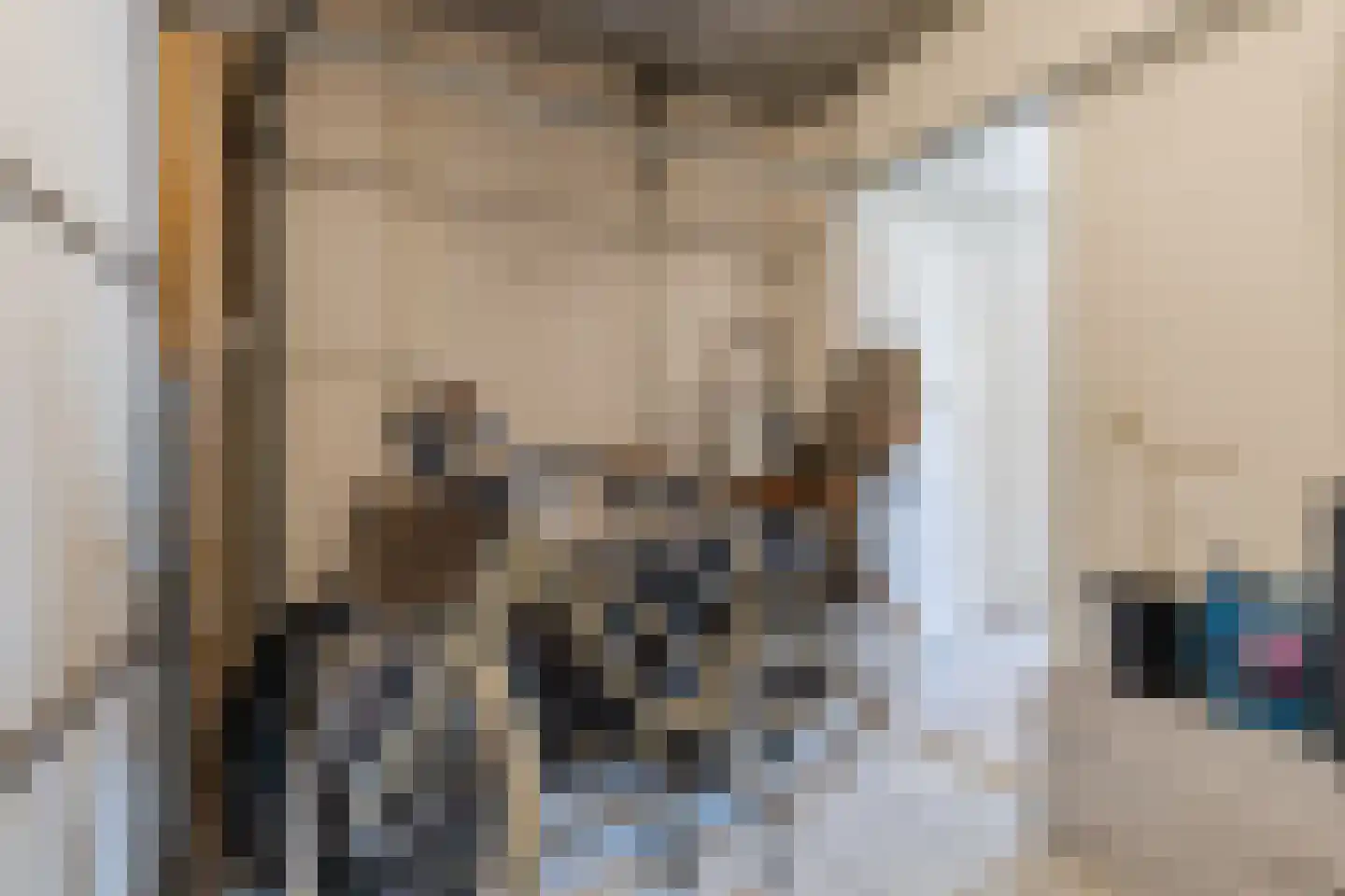 Hoefstraat 6 Horn thumbnail 31