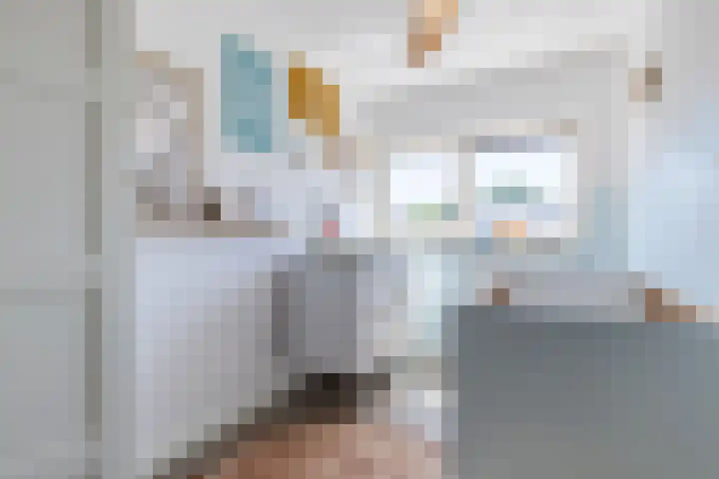 Hoefstraat 6 Horn thumbnail 42