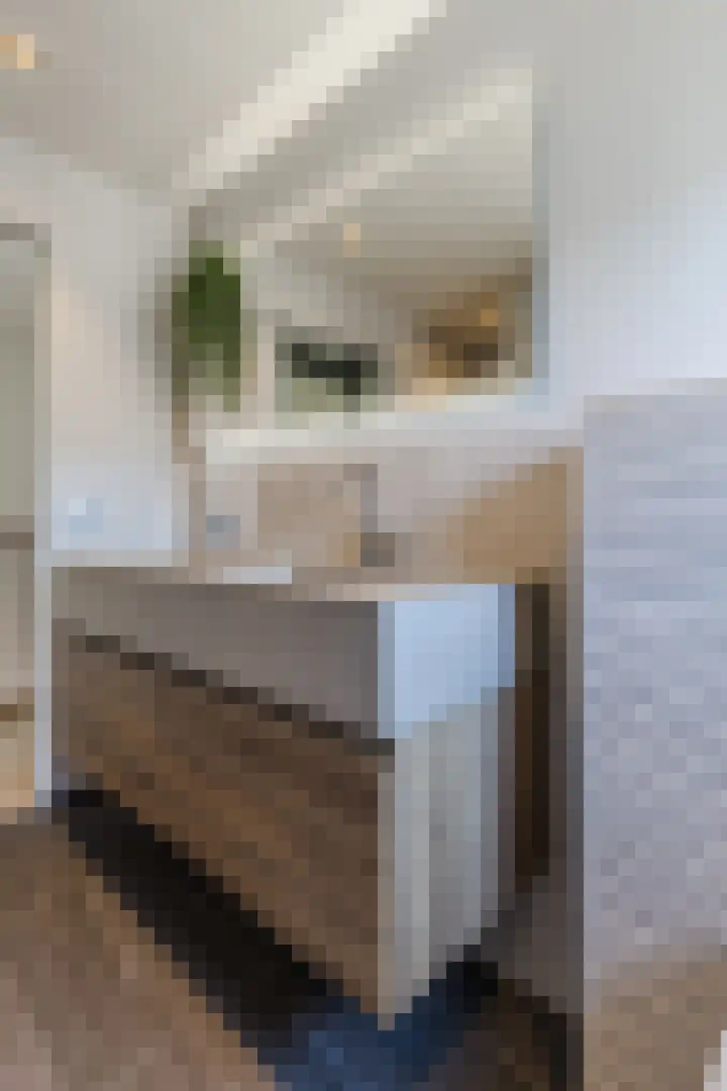 Hoefstraat 6 Horn thumbnail 48