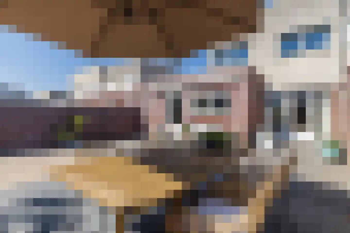 Hoefstraat 6 Horn thumbnail 56