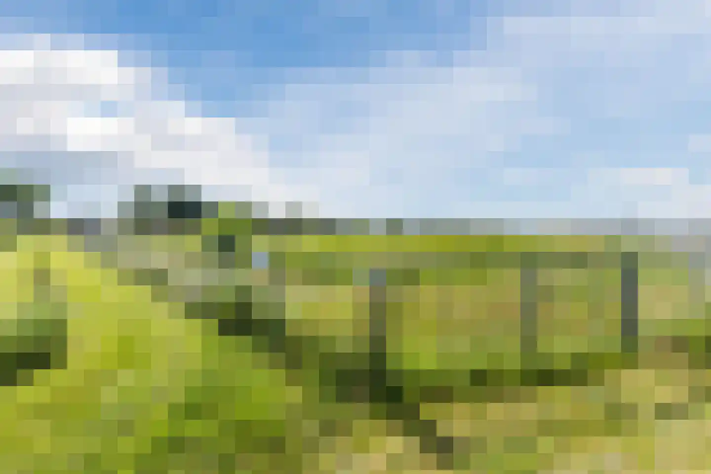 Hoefstraat 6 Horn thumbnail 62