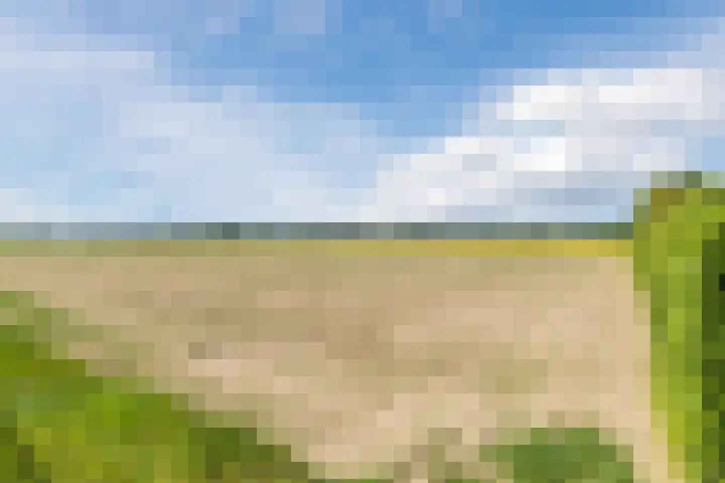 Hoefstraat 6 Horn thumbnail 63