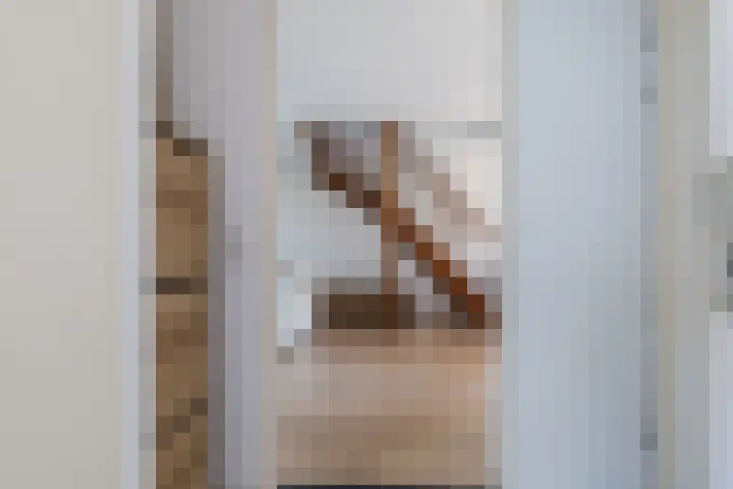 Hoefstraat 6 Horn thumbnail 8