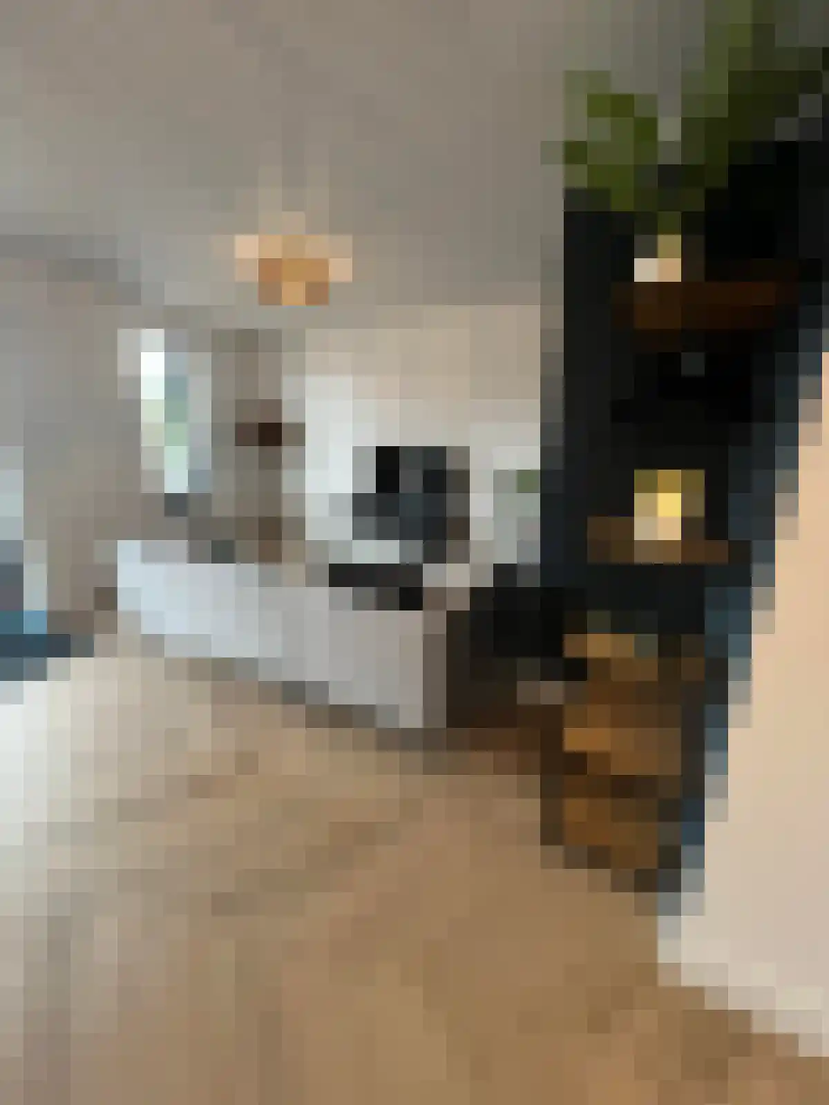 Hoefstraat 65 Tilburg thumbnail 4
