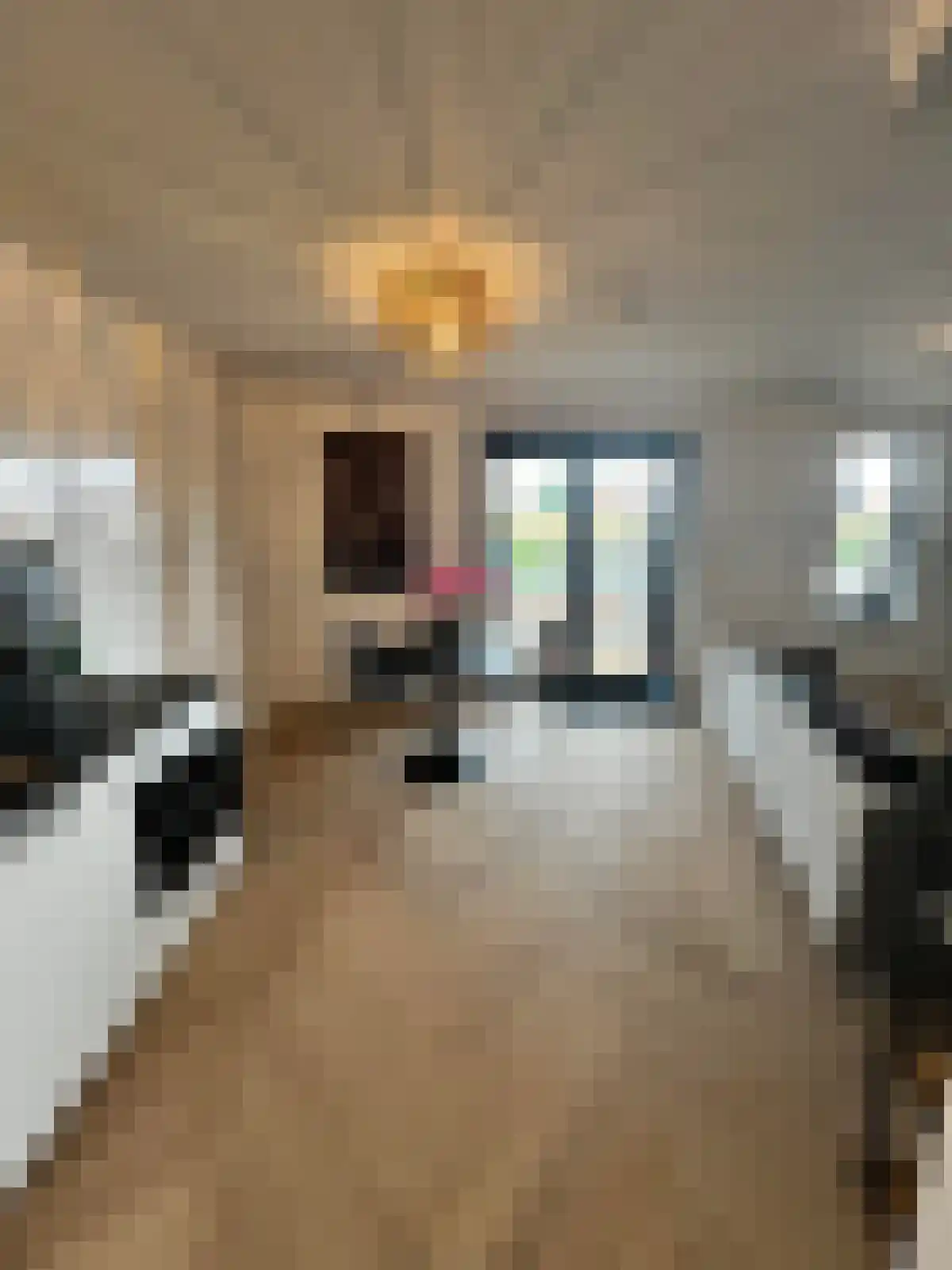 Hoefstraat 69 Tilburg thumbnail 4