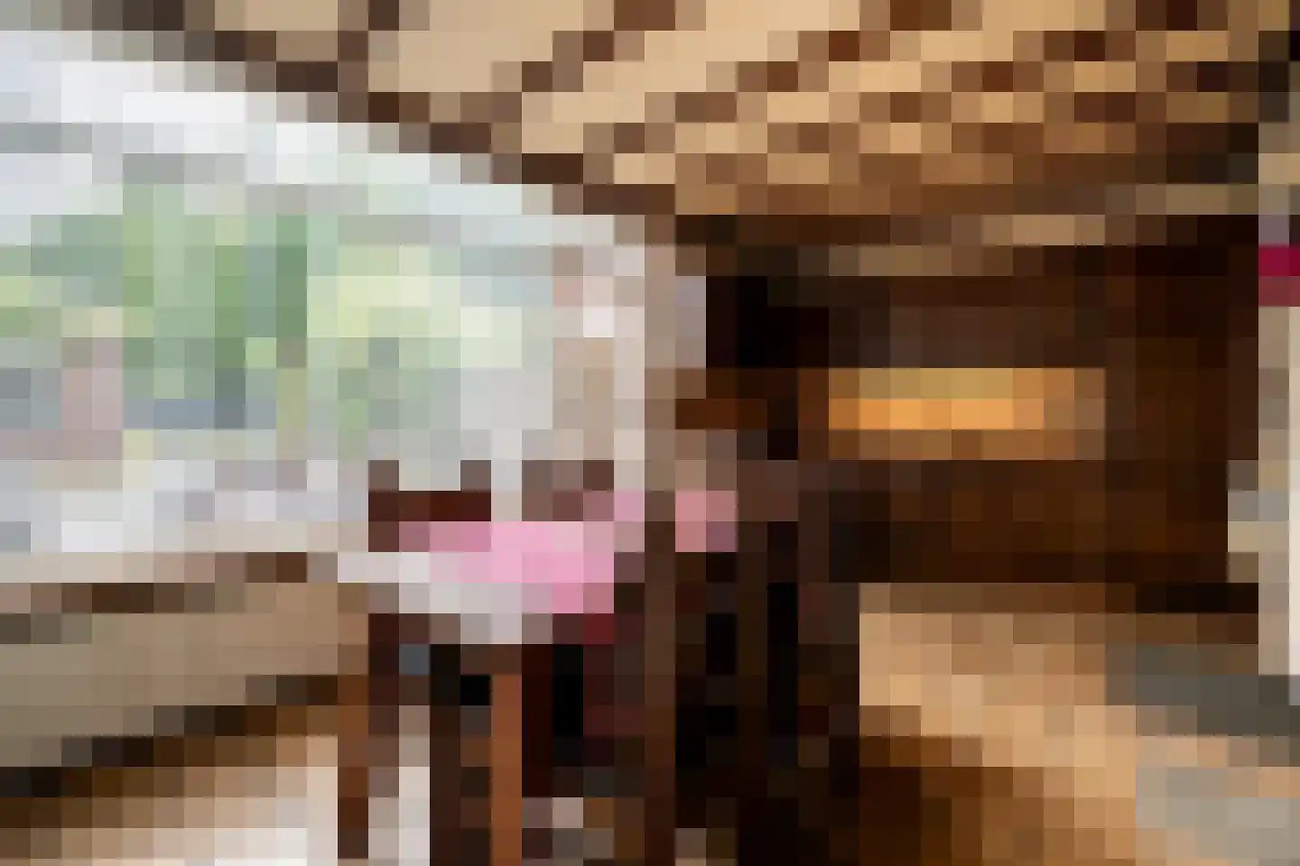 Hoefstraat 7 Oss thumbnail 10