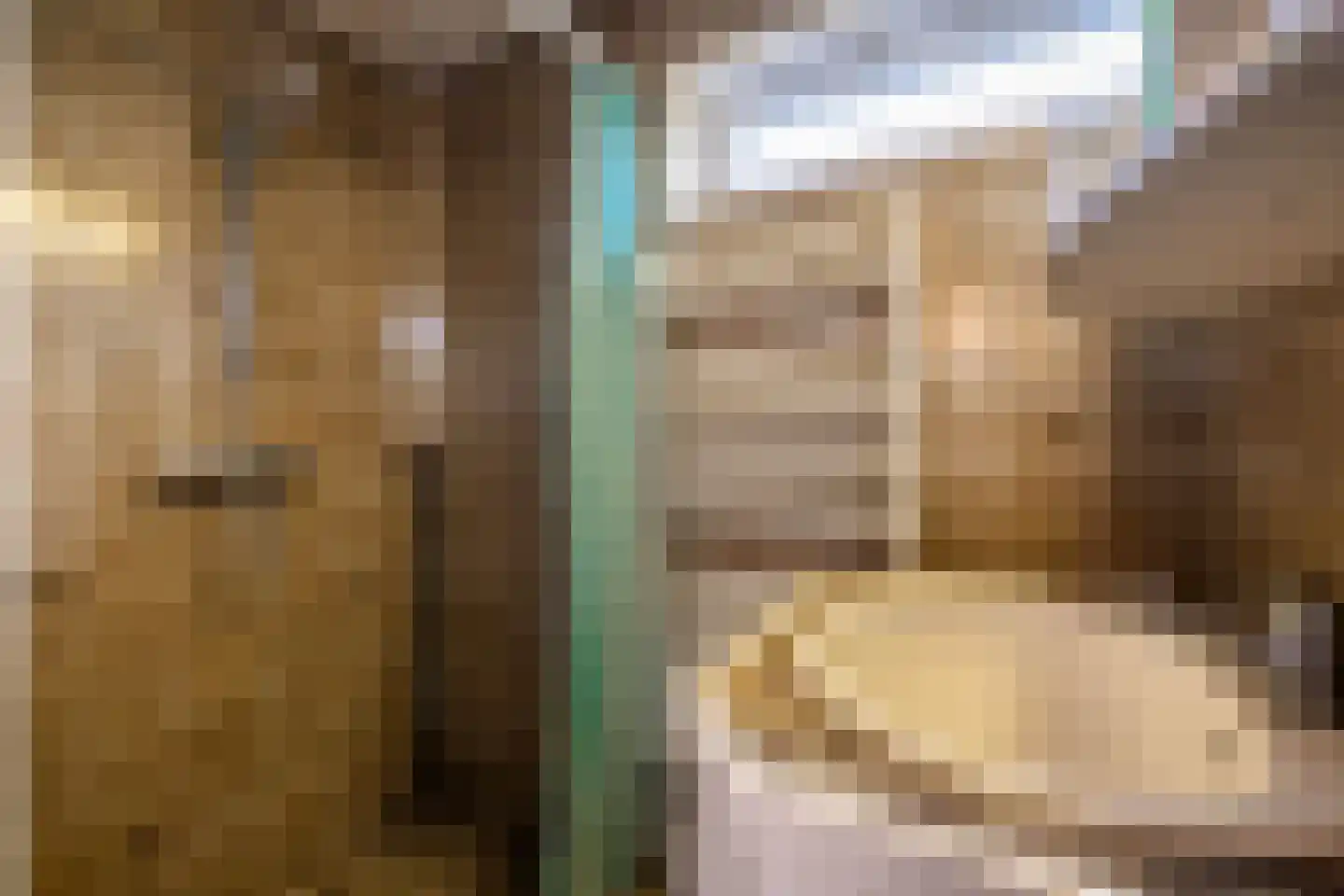 Hoefstraat 7 Oss thumbnail 15