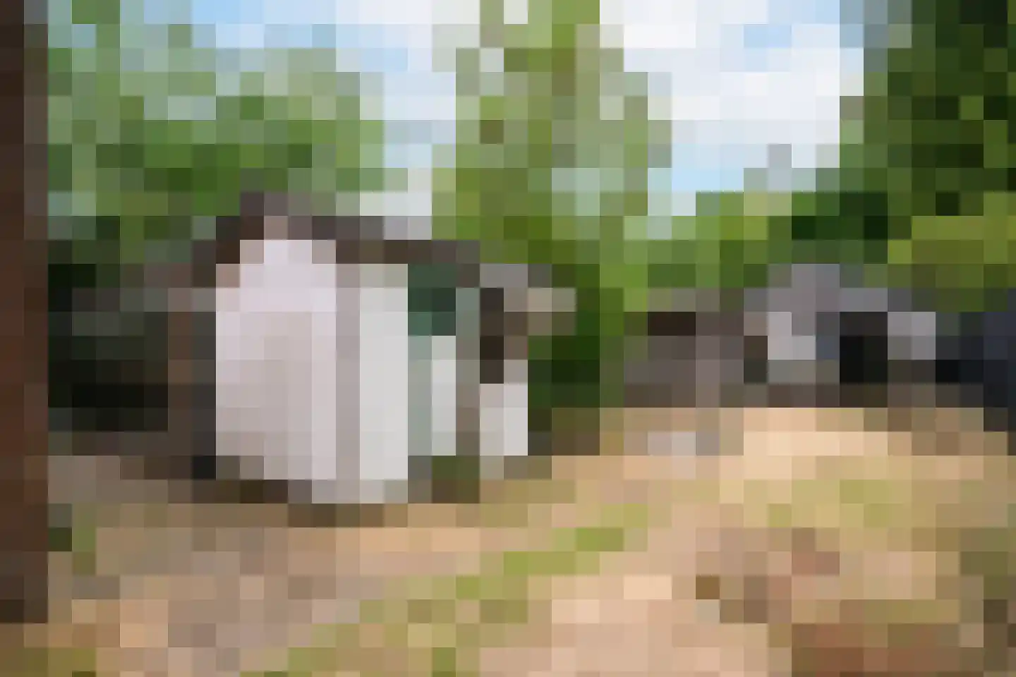 Hoefstraat 7 Oss thumbnail 17