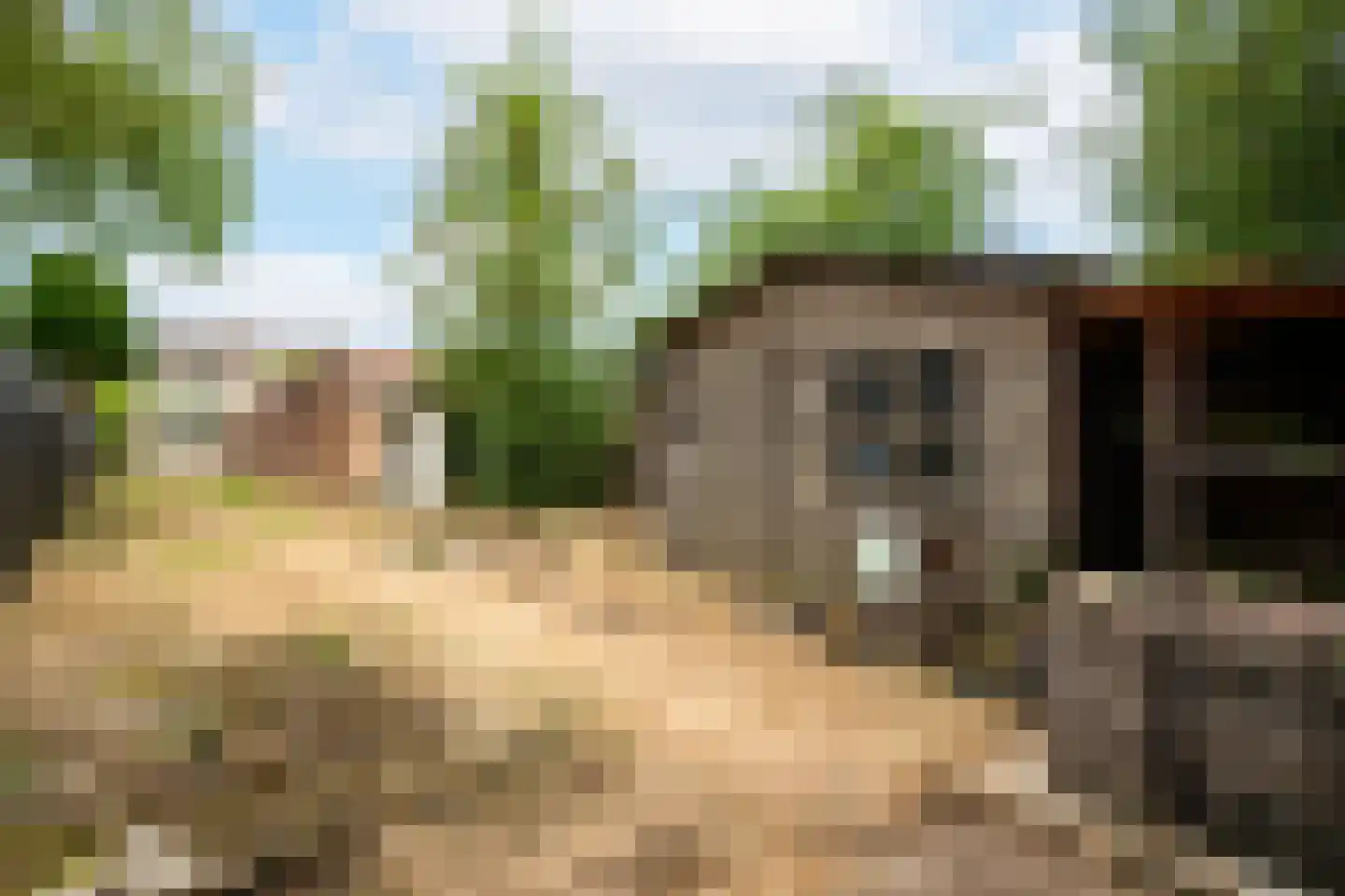 Hoefstraat 7 Oss thumbnail 18