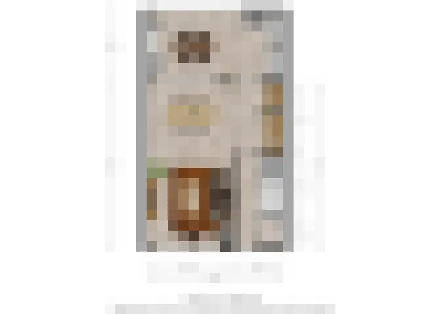Hoefstraat 7 Oss thumbnail 20