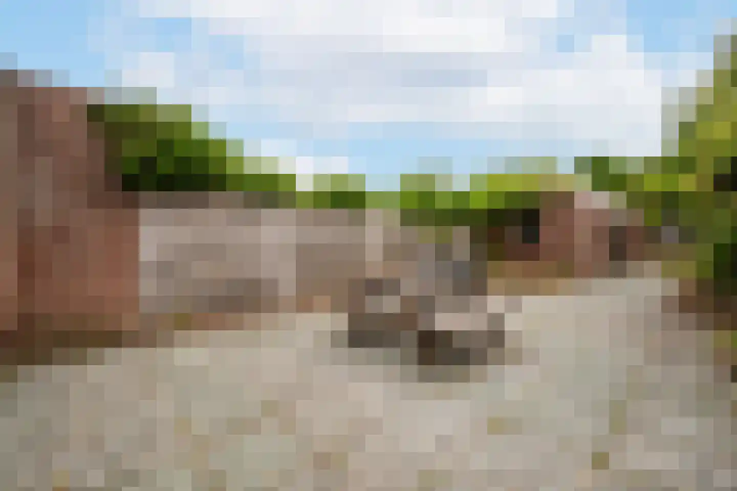Hoefstraat 7 Oss thumbnail 4