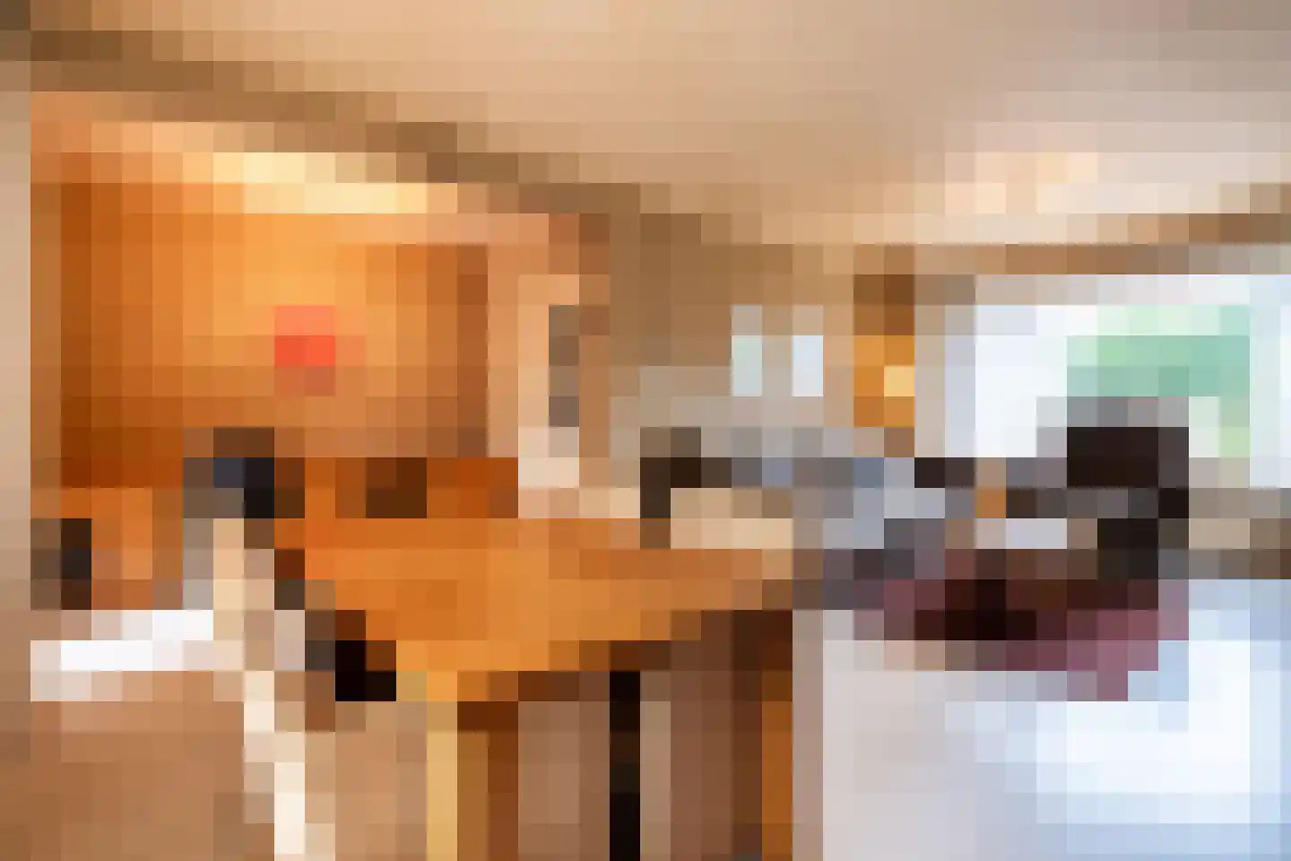 Hoefstraat 7 Oss thumbnail 8