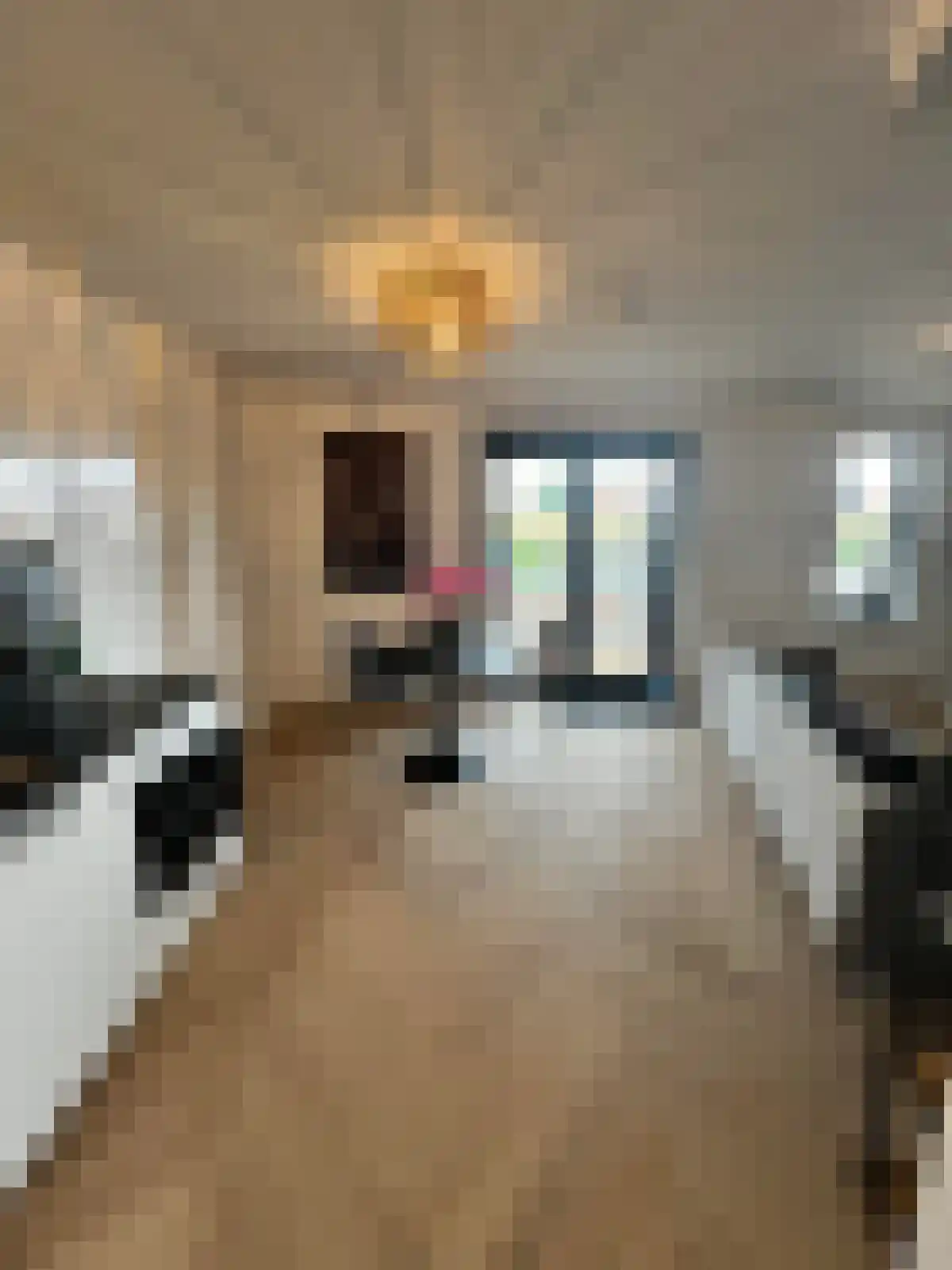 Hoefstraat 77 Tilburg thumbnail 4