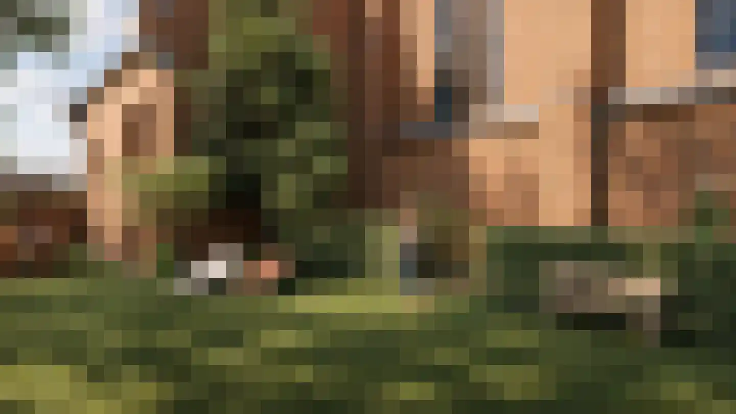 Hoefstraat 9 Tilburg thumbnail 35